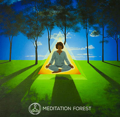 Meditation Forest isbm image 400
